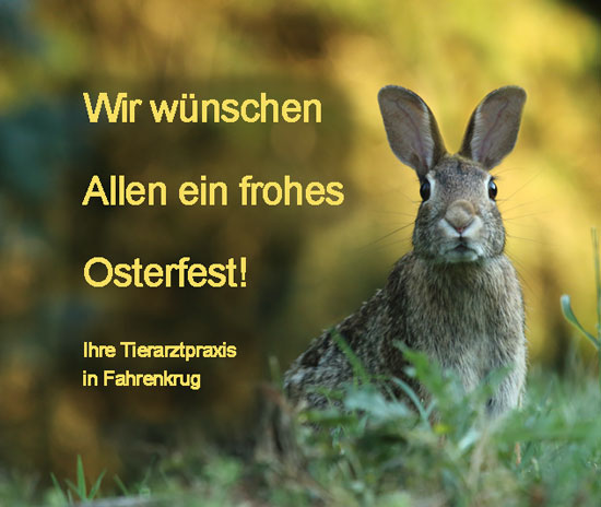 Frohe Ostern